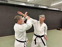 Sensei Gun and Thomas Dall go demonstrate a technique